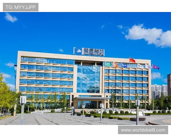 凯发集团网页版登录不了原因分析与快速解决方法详解